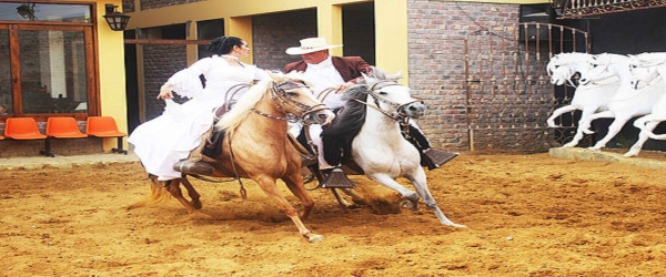 SHOW DEL CABALLO PERUANO DE PASO